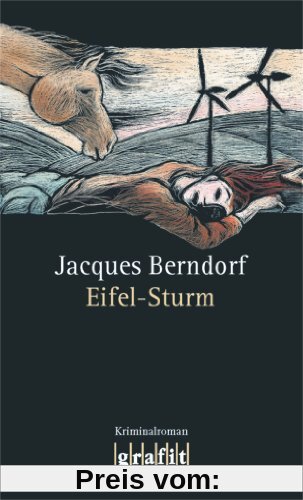 Eifel-Sturm: 8. Band der Eifel-Serie